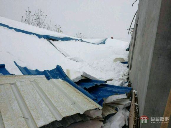 山東省日照市莒縣某大型標(biāo)準(zhǔn)化養(yǎng)鴨場(chǎng)遭遇雪災(zāi) 山東省日照市莒縣某大型標(biāo)準(zhǔn)化養(yǎng)鴨場(chǎng)遭遇雪災(zāi)