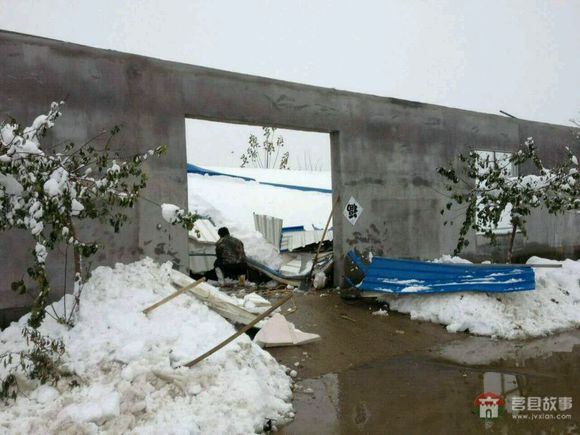 山東省日照市莒縣某大型標(biāo)準(zhǔn)化養(yǎng)鴨場(chǎng)遭遇雪災(zāi) 山東省日照市莒縣某大型標(biāo)準(zhǔn)化養(yǎng)鴨場(chǎng)遭遇雪災(zāi)