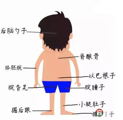 只有莒縣人才能看懂的人體構(gòu)造圖，好深奧好羞澀