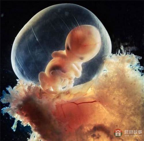 【真知】男人液體進(jìn)入女人體內(nèi)后發(fā)生的“化學(xué)反應(yīng)”，太震撼了……