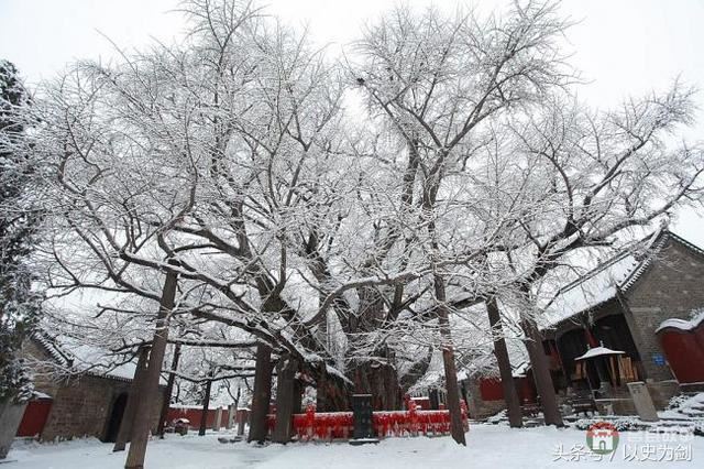 山東這兩個(gè)縣城的羊湯聞名全國(guó)，歷史也相當(dāng)悠久