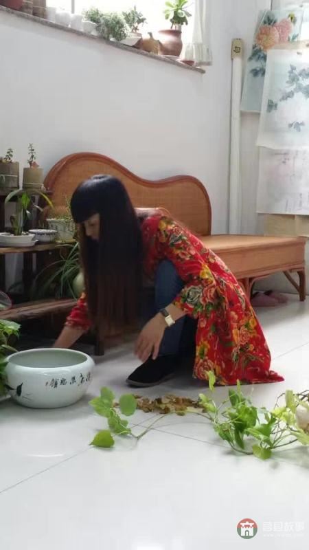 莒國(guó)文化源遠(yuǎn)流長(zhǎng)，山東莒縣美女畫(huà)家李修英工筆畫(huà)選