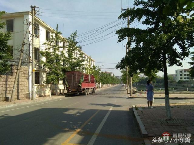 莒國(guó)古城我們的家――之老槐樹底