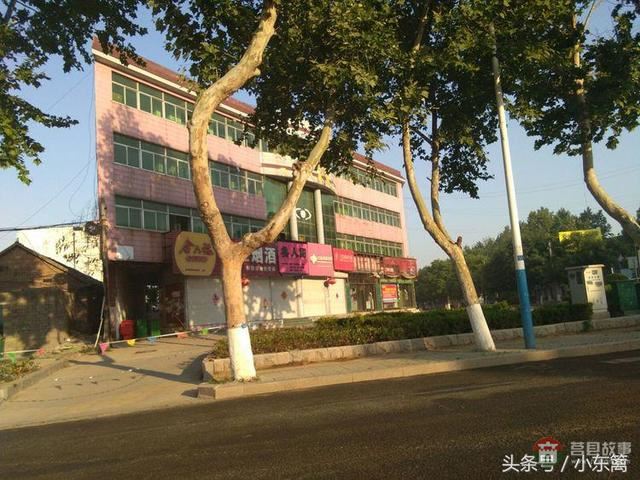 莒國(guó)古城我們的家――之老槐樹底