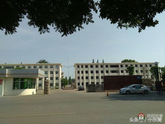莒國(guó)古城我們的家――之老槐樹底