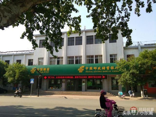 莒國(guó)古城我們的家――之老槐樹底