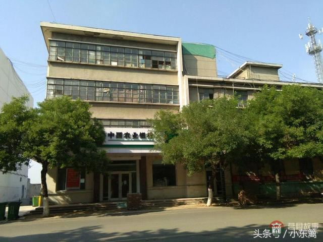 莒國(guó)古城我們的家――之老槐樹底