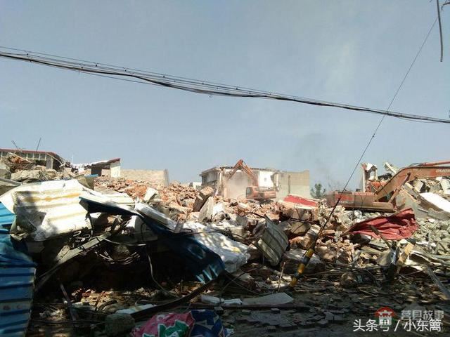 莒國(guó)古城我們的家――之老槐樹底