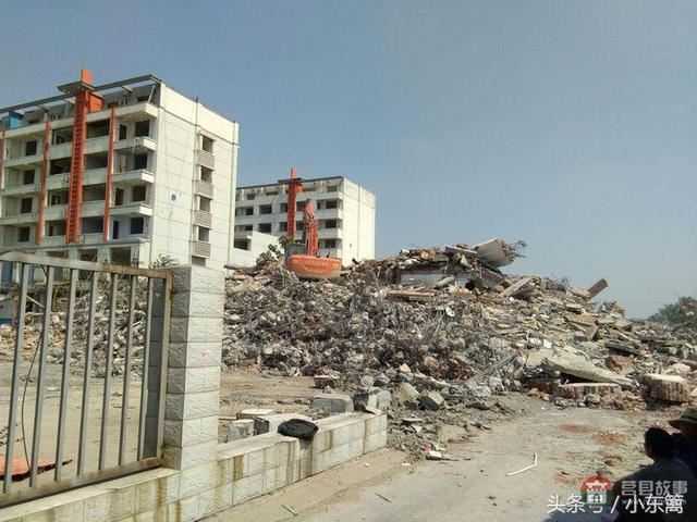莒國(guó)古城我們的家――之老槐樹底
