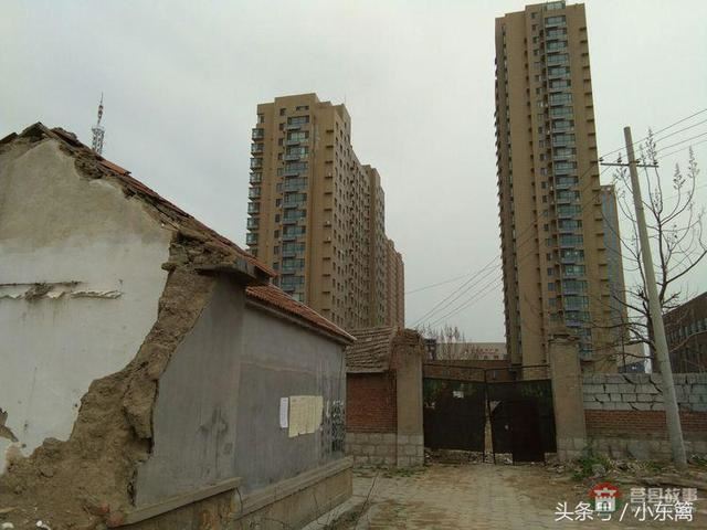 莒國(guó)古城我們的家――之老槐樹底
