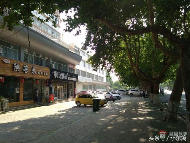 莒國(guó)古城我們的家――之老槐樹底