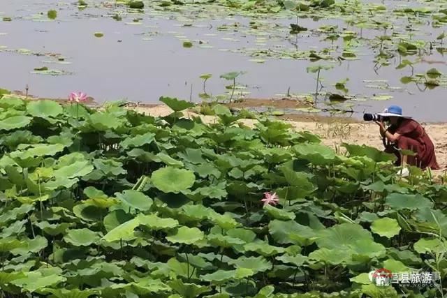 杭州的西湖，莒縣的西湖煙雨