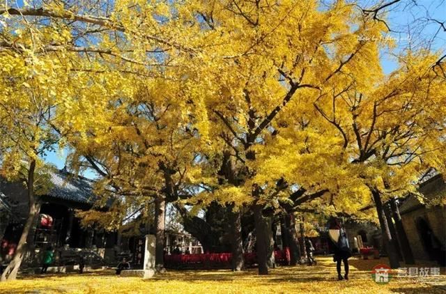 再過幾天，莒縣這個地方要火……先睹為快！
