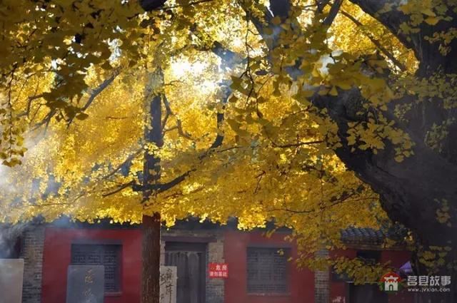 再過幾天，莒縣這個地方要火……先睹為快！