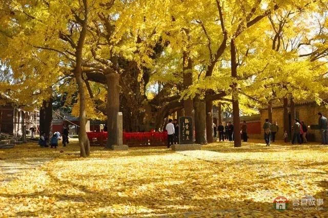 再過幾天，莒縣這個地方要火……先睹為快！