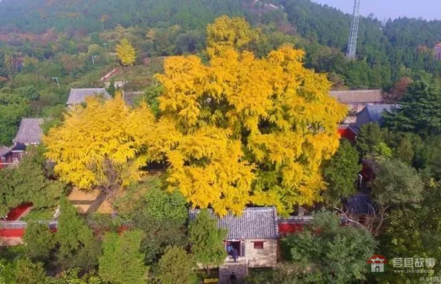 再過幾天，莒縣這個地方要火……先睹為快！