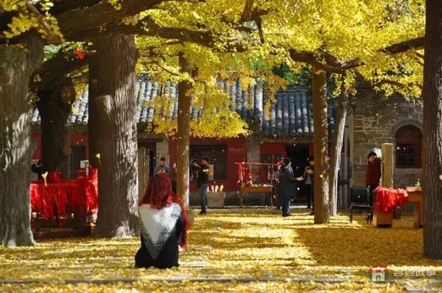 再過幾天，莒縣這個地方要火……先睹為快！
