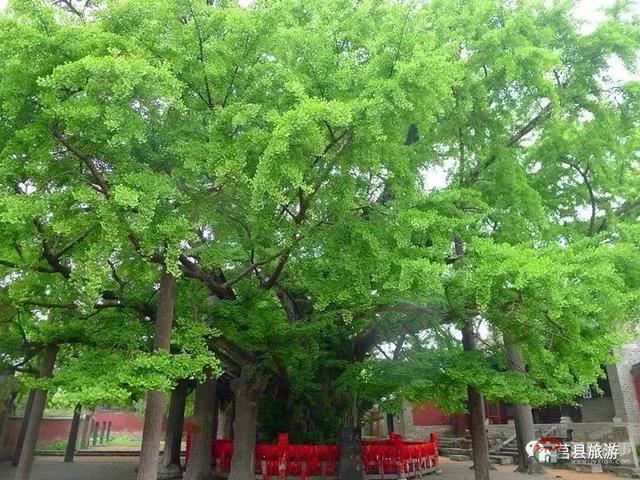 厲害了，大莒縣！