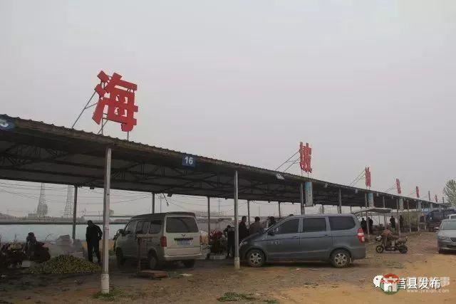 剛剛上市！莒縣這里好大一個“小油桃”，一年能賣3個億