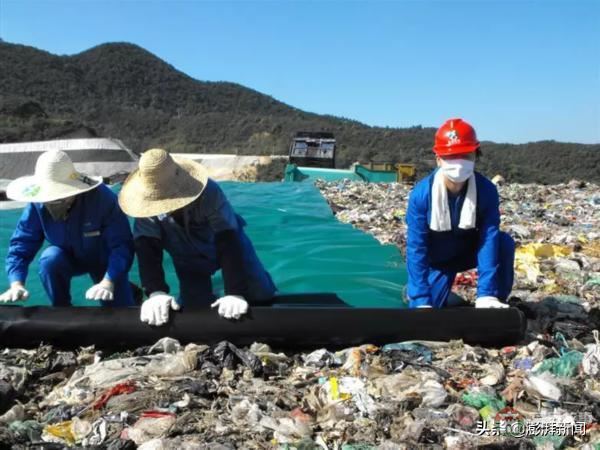 “逼瘋”上海人的垃圾分類背后，藏著中國人不知道的殘忍真相