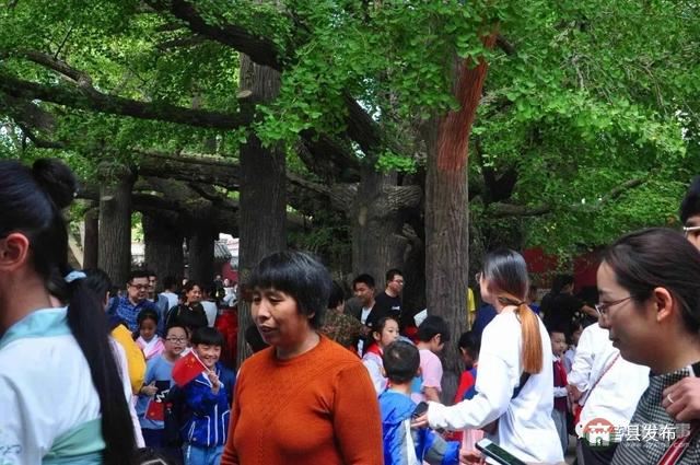 國慶假期莒縣最新“旅行情報圖”，為你泄密哪里“人從眾”