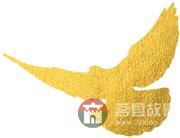 國慶假期莒縣最新“旅行情報圖”，為你泄密哪里“人從眾”