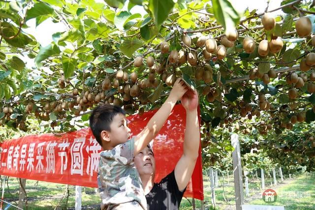 國慶假期莒縣最新“旅行情報圖”，為你泄密哪里“人從眾”