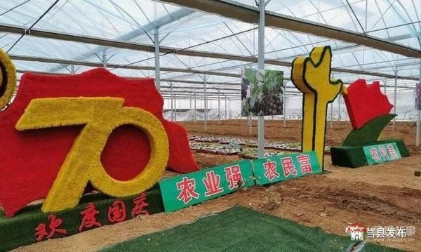 總投資1.2億元！莒縣這個“后花園”2020年上半年開門納客